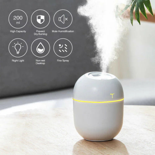 PRODESIRE™ MINI RECHARGEABLE HUMIDIFIER