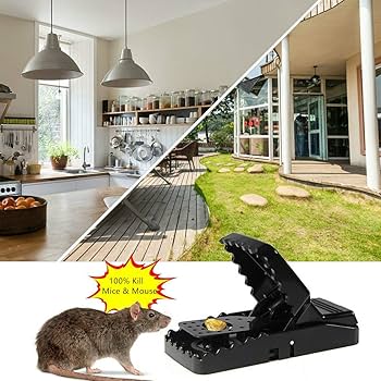 PRODESIRE™ MOUSE TRAP | MOUSE CATCHER