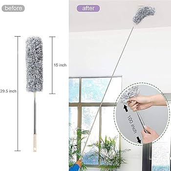 PRODESIRE™ LONG EXPANDABLE FAN DUSTER