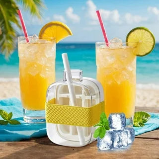 PRODESIRE™ 2-in-1 ICE CUBE TRAY ICE CUBES BOTTLE WITH STRAW