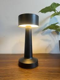 PRODESIRE™ SMART METAL RECHARGEABLE LAMP