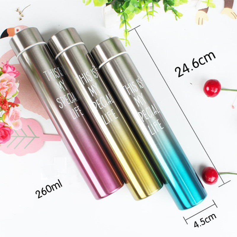 NEW STAINLESS STEEL SLIM WATER BOTTLE