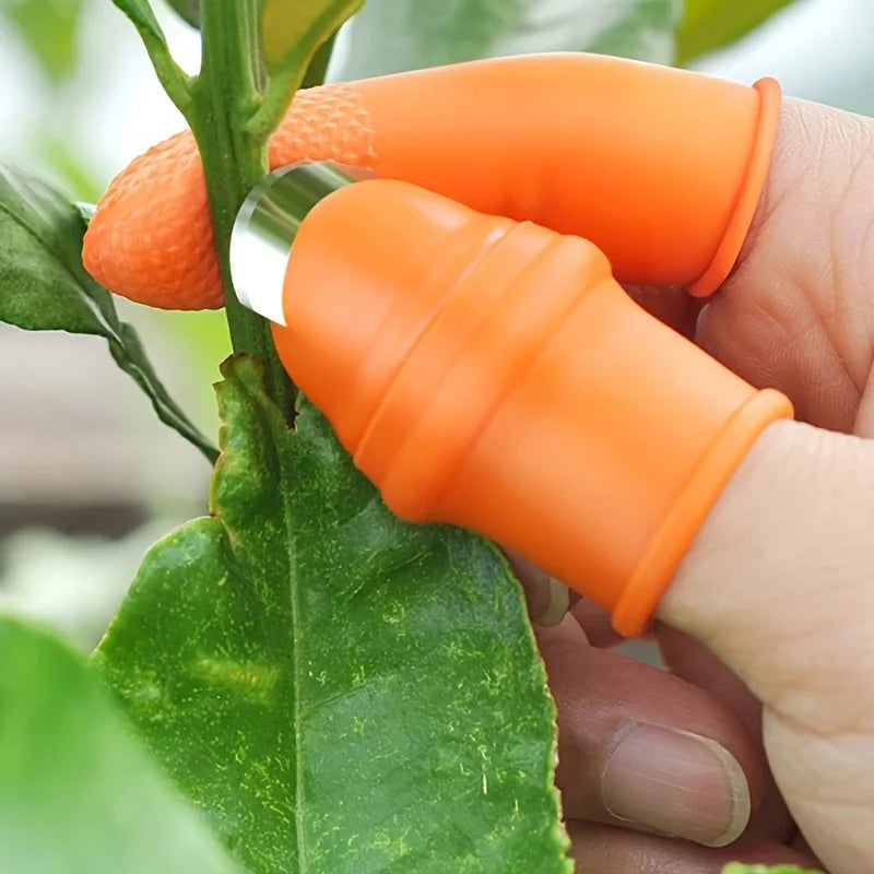 KITCHEN SILICONE FINGER PROTECTOR SET – HEAT & CUT RESISTANT